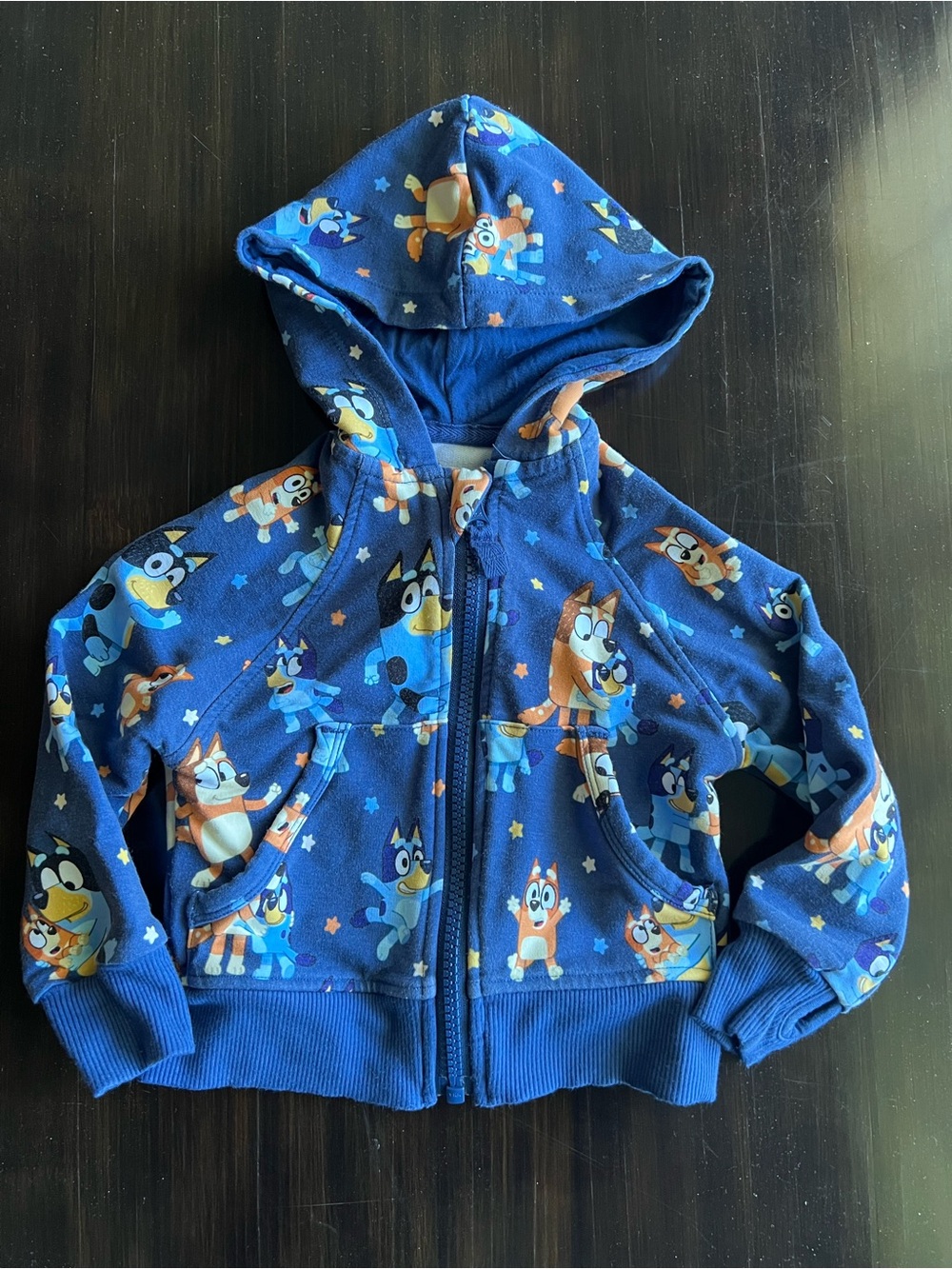 Little sleepies bluey dance party hoodie